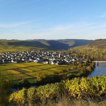 Wein & Gastehaus Hermeshof Hotell Trittenheim Exteriör bild