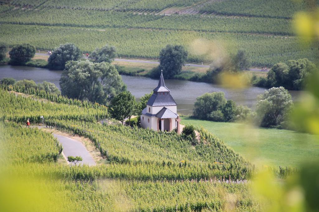 Wein & Gastehaus Hermeshof Hotell Trittenheim Exteriör bild