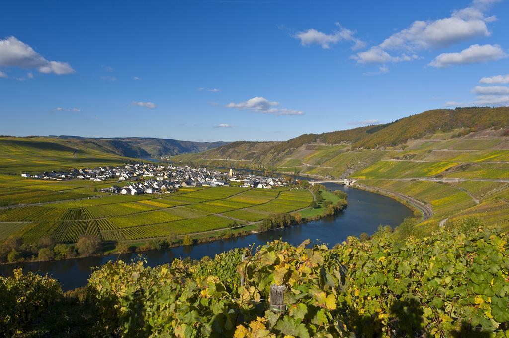 Wein & Gastehaus Hermeshof Hotell Trittenheim Exteriör bild
