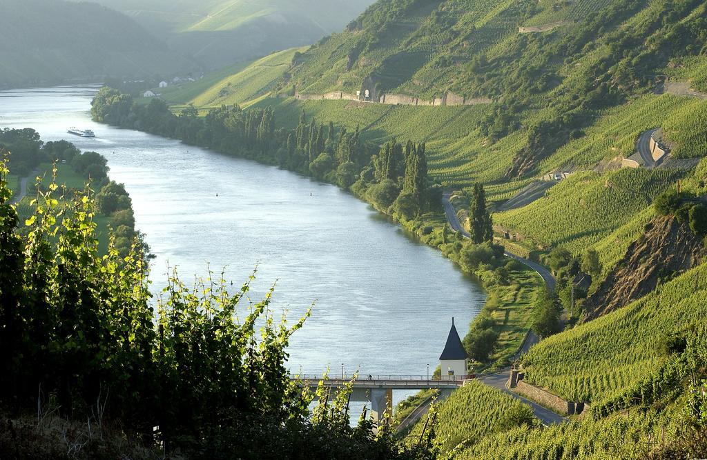 Wein & Gastehaus Hermeshof Hotell Trittenheim Exteriör bild
