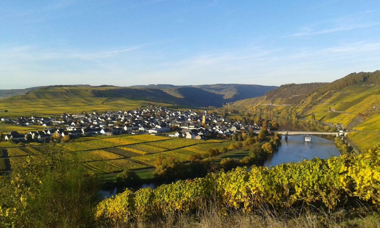 Wein & Gastehaus Hermeshof Hotell Trittenheim Exteriör bild