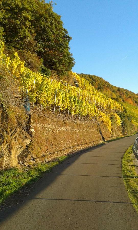 Wein & Gastehaus Hermeshof Hotell Trittenheim Exteriör bild